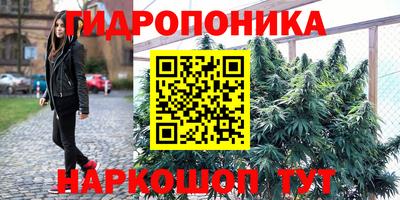 кокс Заводоуковск