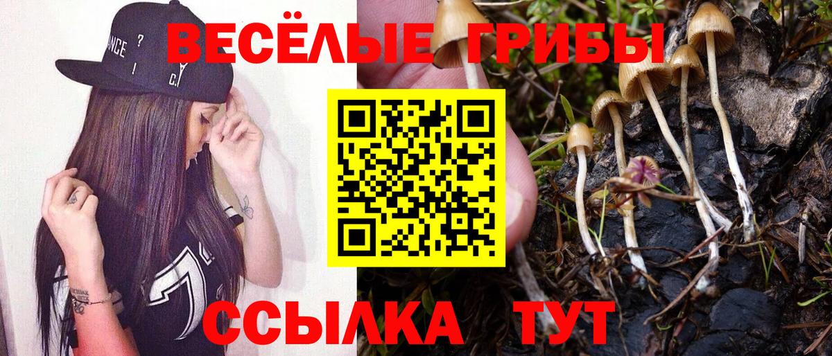 Псилоцибиновые грибы Cubensis Ишимбай