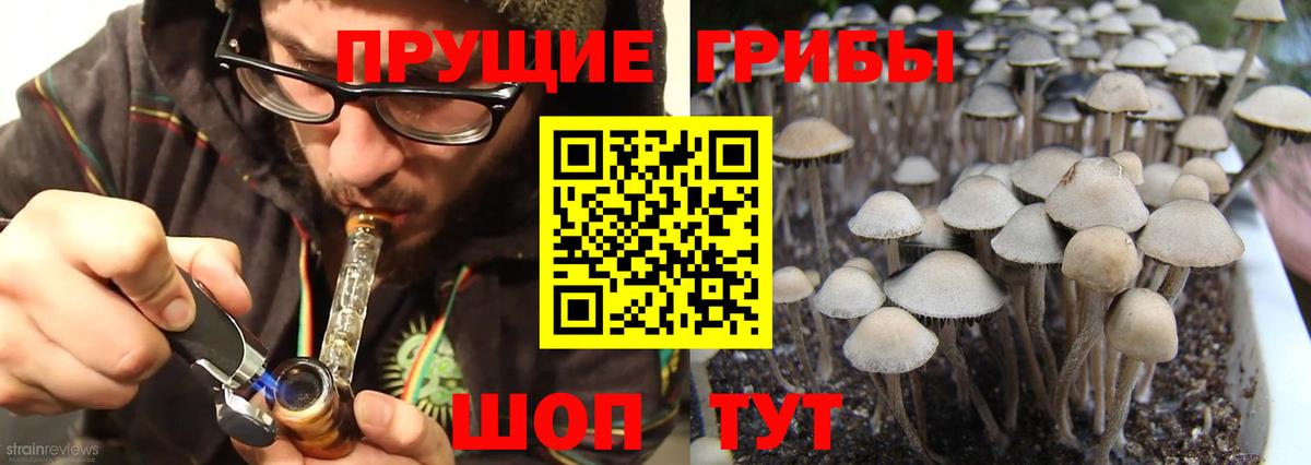 Псилоцибиновые грибы Cubensis  Вход с VPN  Ишимбай 